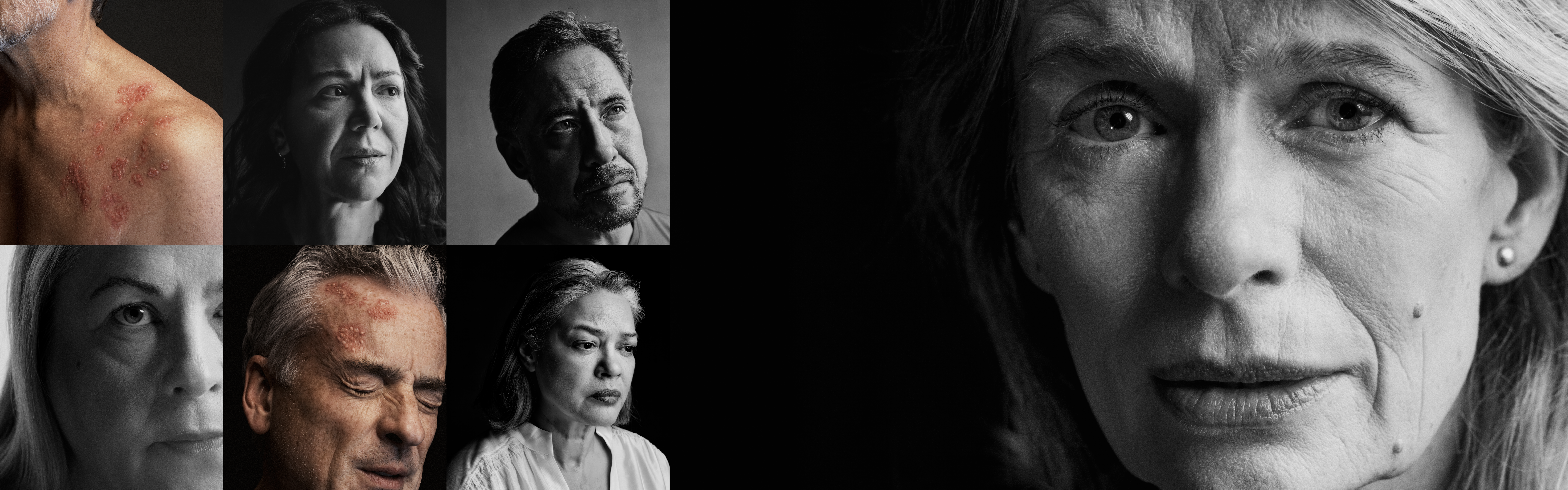 Descripción de la imagen